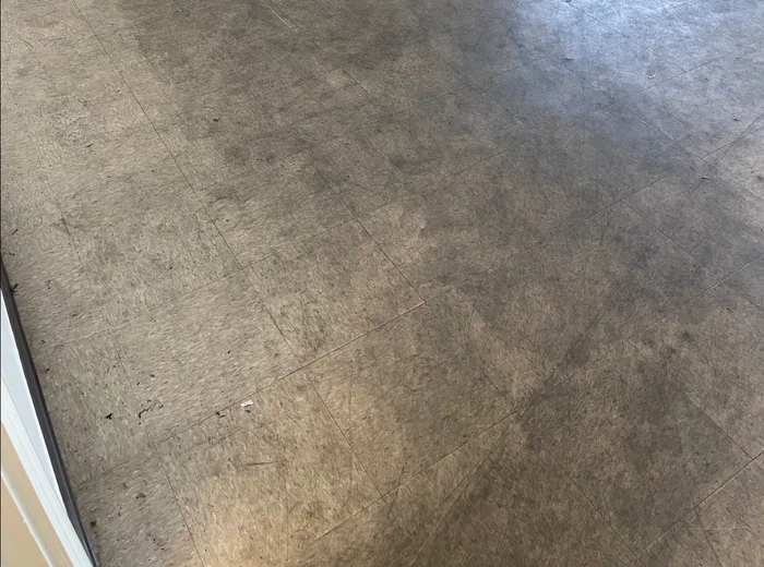 Floors before EVM treatment